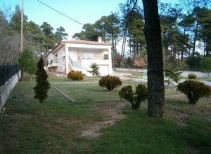 Μονοκατοικία προς πώληση Άγιος (Μεσσαπία) 242 τ.μ. 2 Υπνοδωμάτια