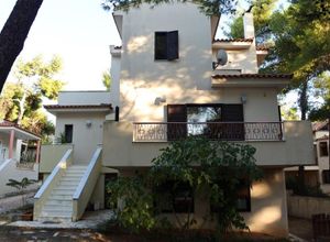 Μονοκατοικία προς πώληση Σταμάτα 240 τ.μ. 4 Υπνοδωμάτια