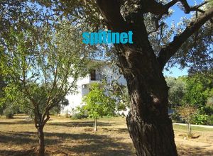 Μονοκατοικία προς πώληση Αστρίδα (Θάσος) 200 τ.μ. 5 Υπνοδωμάτια