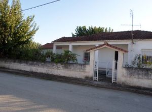 Μονοκατοικία προς πώληση Φλαμούλι (Τρίκαλα) 122 τ.μ. 2 Υπνοδωμάτια