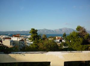 Άλλο επαγγελματικό ακίνητο προς πώληση Κ. Σκάλας Ωρωπού 750 τ.μ.
