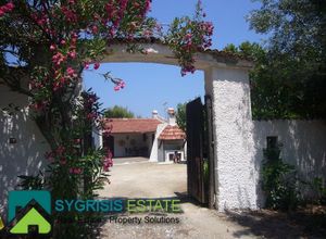 Μονοκατοικία προς πώληση Πευκί (Αρτεμίσιο) 280 τ.μ. 6 Υπνοδωμάτια