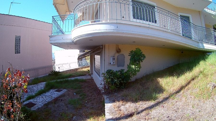 Photo 119818543