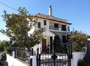 Συγκρότημα προς πώληση Ηγουμενίτσα 360 τ.μ. 6 Υπνοδωμάτια Νεόδμητο