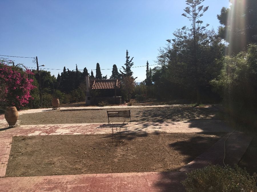 Photo 121165960