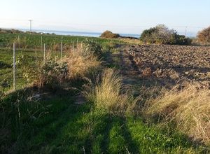 Οικόπεδο προς πώληση Πεταλούδες (Ρόδος) 1.445 τ.μ.