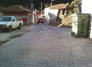 Μονοκατοικία προς πώληση Συκιά (Τορώνη) 70 τ.μ. 2 Υπνοδωμάτια