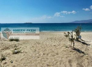 Ξενοδοχείο προς πώληση Νάξος - Δρυμαλία 500 τ.μ.