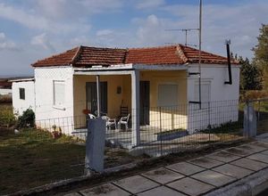 Μονοκατοικία προς πώληση Ελαιοχώρια (Τριγλία) 50 τ.μ. 1 Υπνοδωμάτιο