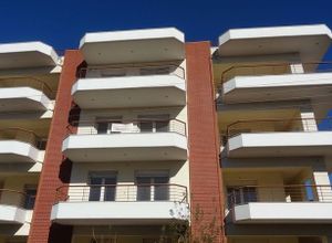 Κτίριο προς πώληση Σίνδος (Εχέδωρος) 1.002 τ.μ. 1 Υπνοδωμάτιο
