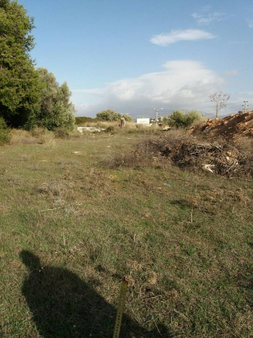 Photo 124157239