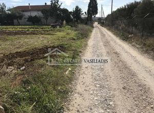 Αγροτεμάχιο, Αγγελοχώρι