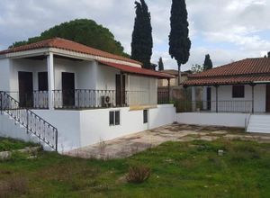 Μονοκατοικία προς πώληση Άγιος Δημήτριος (Αλυκές) 161 τ.μ. 4 Υπνοδωμάτια