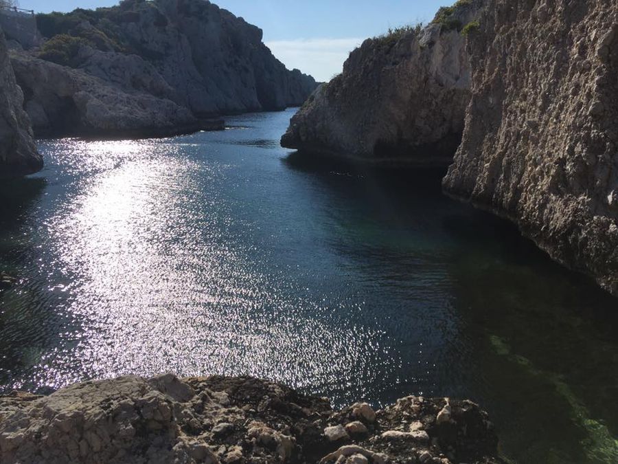 Photo 125338858