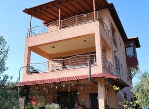 Μονοκατοικία προς πώληση Οφρύνιο (Ορφανό) 2.650 τ.μ. 3 Υπνοδωμάτια Νεόδμητο
