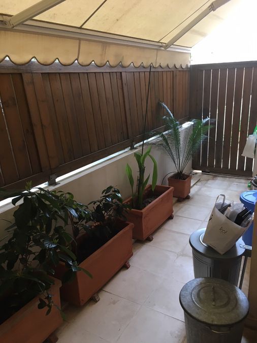 Photo 126054121