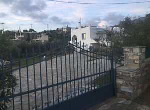 Μονοκατοικία προς πώληση Μπούρος (Κάρυστος) 200 τ.μ. 4 Υπνοδωμάτια
