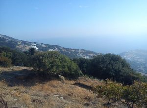 Plot Andros