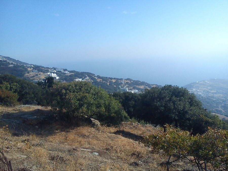 Plot Andros