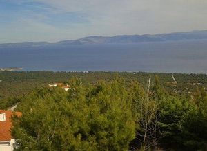 Μεζονέτα, Νέος Βουτζάς