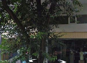 Store, Martiou