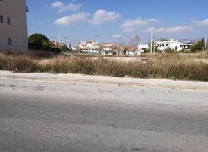 Photo 126832168