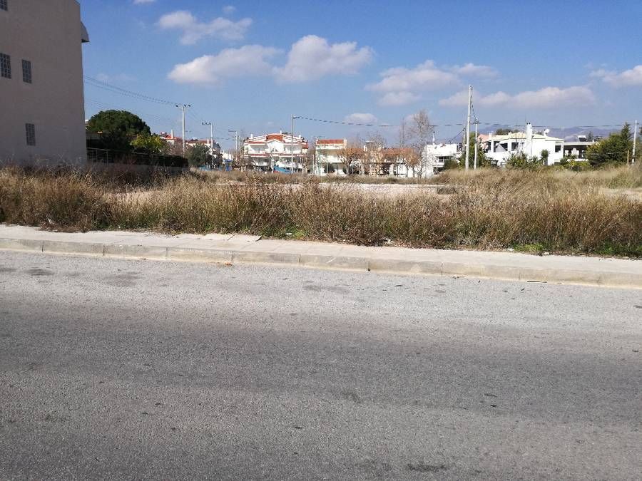 Photo 126832168