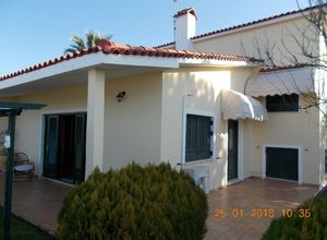 Μονοκατοικία προς πώληση Πάλαιρος (Κεκροπία (Παλαίρου)) 210 τ.μ. 6 Υπνοδωμάτια