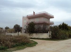 Συγκρότημα προς πώληση Σχινιάς (Μαραθώνας) 236 τ.μ. 6 Υπνοδωμάτια