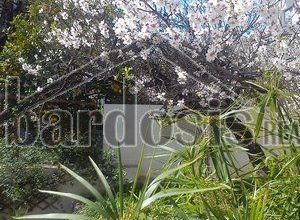 Μονοκατοικία για ενοικίαση Γαλαξίδι 110 τ.μ. 2 Υπνοδωμάτια