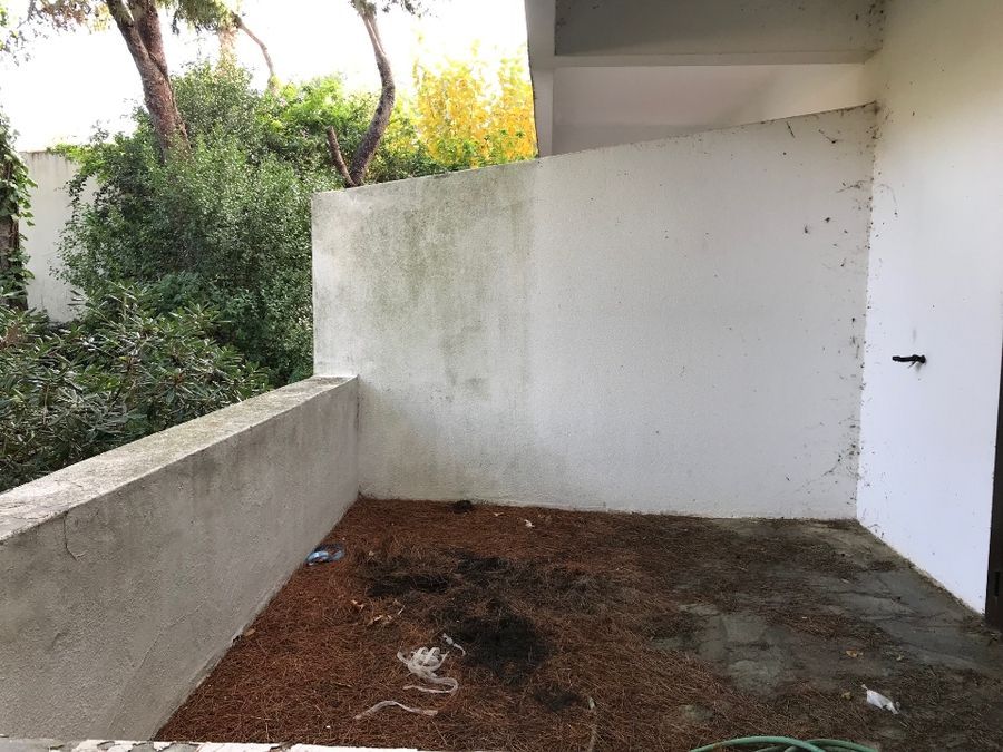 Photo 127138414