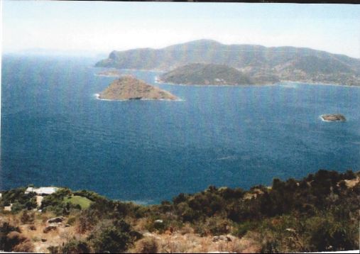 Chamolia