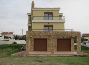 Μεζονέτα, Κέντρο
