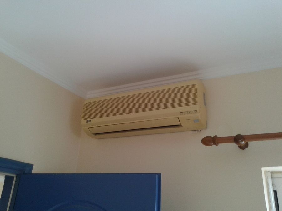 Photo 127503061