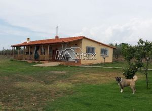 Μονοκατοικία προς πώληση Μονοπήγαδο (Βασιλικά) 120 τ.μ. 2 Υπνοδωμάτια