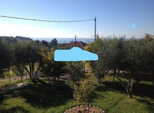 Apartment, Nea Potidaia