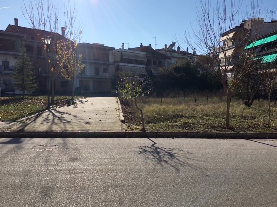 Photo 128251630