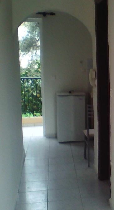 Photo 128335792