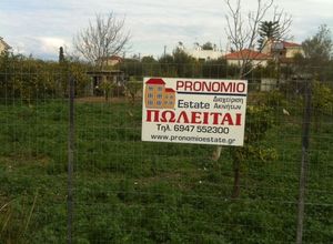 Οικόπεδο προς πώληση Κάτω Διμηνιό (Σικυώνα) 604 τ.μ.