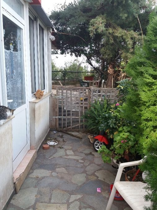 Photo 128904982