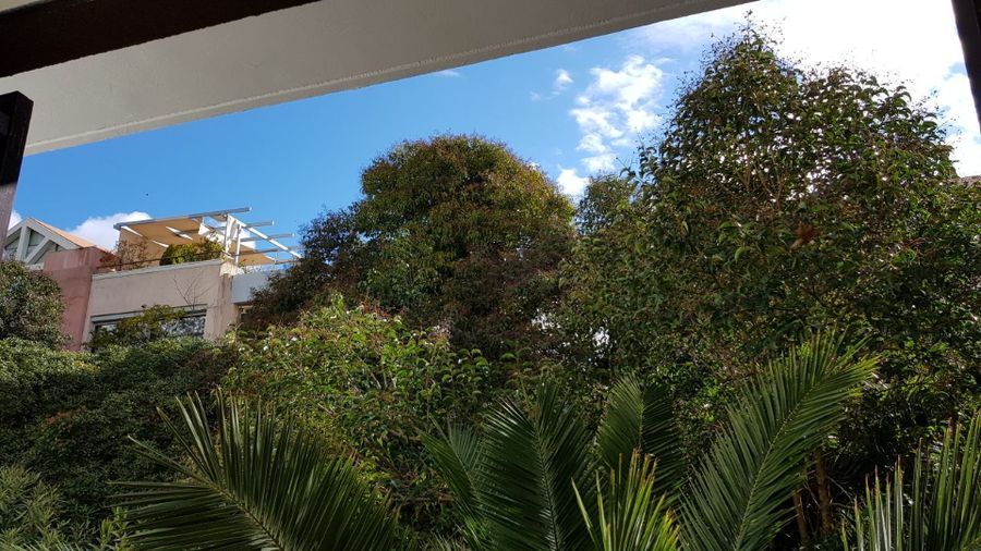 Photo 129043225