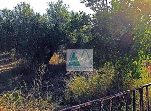 Μονοκατοικία προς πώληση Μεταμόρφωση (Ορμύλια) 420 τ.μ. 4 Υπνοδωμάτια