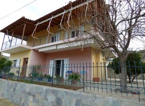 Διαμέρισμα προς πώληση Πρόσυμνα (Μυκήνες) 130 τ.μ. 4 Υπνοδωμάτια