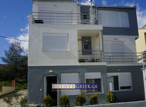 Ξενοδοχείο προς πώληση Νέα Ηρακλίτσα (Ελευθερές) 183 τ.μ.