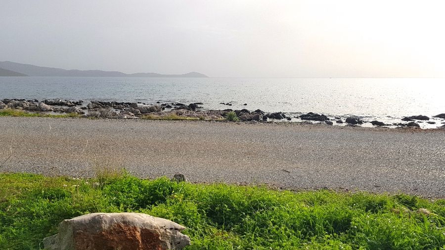 Photo 129564922