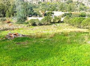 Photo 129564925