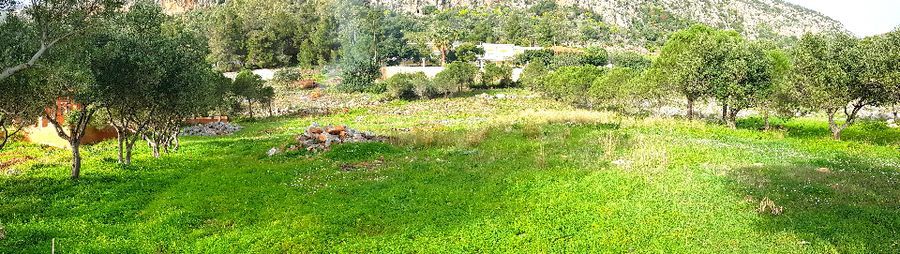 Photo 129564925