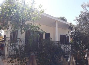 Μονοκατοικία για ενοικίαση Μεσοβάρδα (Αρτέμιδα (Λούτσα)) 60 τ.μ. 2 Υπνοδωμάτια