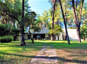 Villa to rent Sani (Kassandra) 75 m<sup>2</sup> 2 Bedrooms