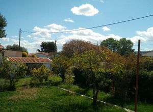 Μονοκατοικία προς πώληση Χαλκούτσι (Κ. Σκάλας Ωρωπού) 88 τ.μ. 2 Υπνοδωμάτια